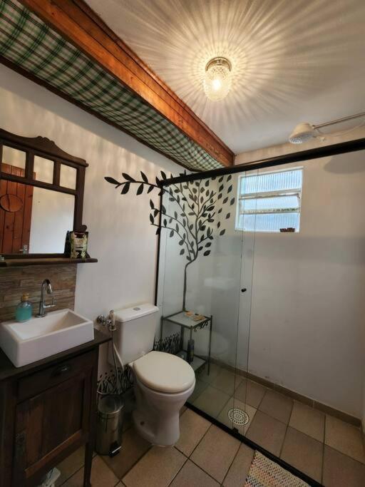 Holiday home Chacara Aconchegante Casal Braganca Paulista